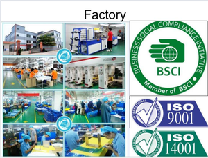Muestra Gratuita de Bolsa Transparente de PVC con Cierre a Presión, Hecha en China, para Bolsas de Embalaje Tridimensionales - Product Image 6