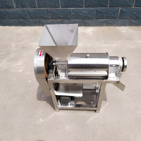 Commerciële Mango, Gember, Acaibes En Sinaasappelsapmachine Met Zeer Efficiënte Fruitpulpblender