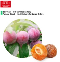 TONGXIANG Precio Directo de Fábrica Ciruelas Coreanas Envasadas Individualmente de 85g, Frescas, Saludables, Dulces, 100% Naturales, 12 Unidades