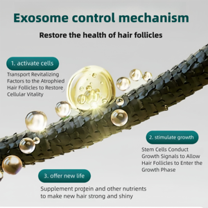 Thérapie <span class=keywords><strong>de</strong></span> repousse des cheveux anti-chute <span class=keywords><strong>de</strong></span> cheveux avancée 10 milliards d'exosomes cellules souches EGF Poudre lyophilisée Solution Elixir <span class=keywords><strong>de</strong></span> croissance des cheveux Accélérateur - Product Image 4