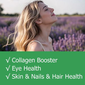 Factory Direct Quercetin Holunder-Hagebutten Nahrungs ergänzungs mittel Unterstützung <span class=keywords><strong>Vitamin</strong></span> <span class=keywords><strong>C</strong></span>-Kapsel - Product Image 5