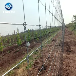 Recinto di cervo netto della macchina del nodo della correzione inclinata del rotolo del metallo per l'albero di mele di Idea del giardino