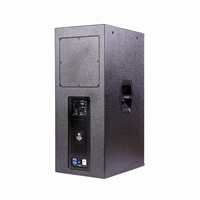 Système audio CVR Haut-parleur pleine gamme Bi-AMP actif/passif à trois voies de 15 pouces