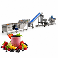 Sinaasappelsapverwerkingsbedrijf Sinaasappelsapverwerkingsmachine Sinaasappelsap productielijn Sap productielijn