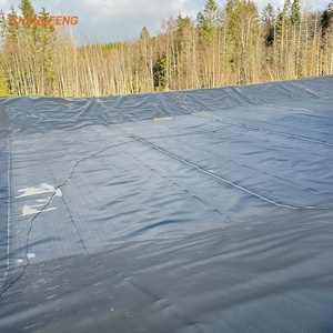 Chất lượng cao HDPE chống UV chống tuổi Nhựa Mương lót <span class=keywords><strong>LDPE</strong></span> LLDPE PVC cho nước biển nước ngọt ao cá bãi rác trang web bãi rác - Product Image 4