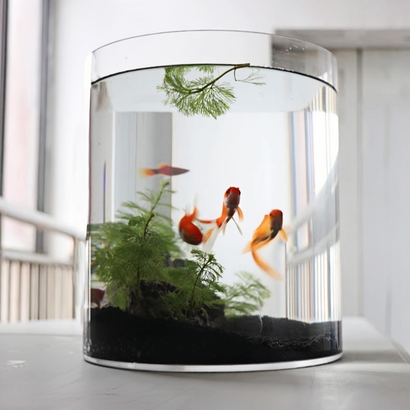 Small Acrylic Custom Fish Tanks Clear Cylindrical Aquariums