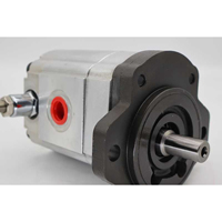 3349 211 149 Pompe à engrenages à huile 3349211149 Simple/Tandem 3349 211 149 Pompe hydraulique 3349 211 149 en Stock