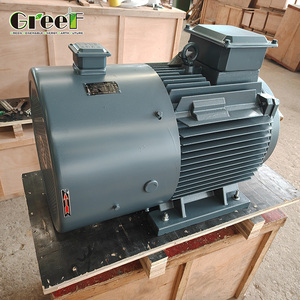 Générateur à aimants pour l'Ouzbékistan, alternateur 10KW 20KW 50KW à faible régime pour projet de production hydroélectrique - Product Image 4