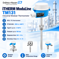 Sensor Suhu Industri E+H TM131 Anti Ledakan RTD Thermocouple untuk Minyak dan Gas