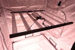 Gartenbau Top Licht Horti Bloom <span class=keywords><strong>Mega</strong></span> lm301 evo lm281 kommerzielles Wachstums licht Full Spectrum Gewächshaus Top Licht - Product Image 6