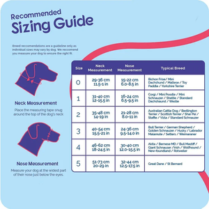 مخصص فاخر المصممين الياقات الحيوانات الأليفة مع حلقة الأنف للكلاب لوازم النايلون الحيوانات الأليفة شخصية طوق الرأس لا سحب الكلب كمامة - Product Image 6