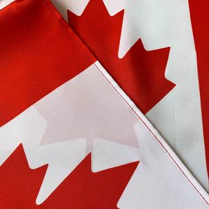 Bandera de coche personalizada para fabricantes estadounidenses, bandera de coche canadiense de 45*30cm para actividades de elecciones presidenciales - Product Image 4