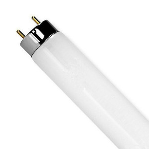 Hiệu Quả Cao 6400K 10W 15W 18W 30W 36W 58W T8 Nhỏ Gọn Huỳnh Quang Ống đèn Với G13 Đèn Chủ - Product Image 2