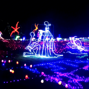 Valentijnsdag LED-motiefverlichting voor buiten, IP65 waterdicht, multi-voltage, feestverlichting - Product Image 1