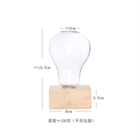 Décoration de bureau à domicile, mini-plant de séparation d'air, station de propagation en terrarium, vase en verre pour bulbes hydroponiques, support en bois