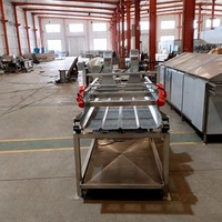 Machine de déshydratation industrielle par vibration pour aliments, légumes et salades – Équipement vibrant pour l'élimination de l'eau