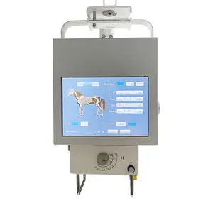 Medizinisches Röntgen-Digitalradiographie-Röntgengerät Hochfrequenz-tragbares Röntgen-Medizin produkt
