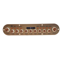Carte d'amplificateur audio double canal de classe D 160W personnalisée OEM avec Bluetooth 5.0 pour haut-parleur actif