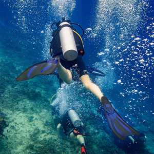 Palmes de Plongée avec LOGO Personnalisé, Vente en Gros, Poids Léger, Poche de Pied Adulte, Équipement de Snorkeling, Longue Lame, Palmes de Chasse Sous-Marine en TPR Durables - Product Image 6