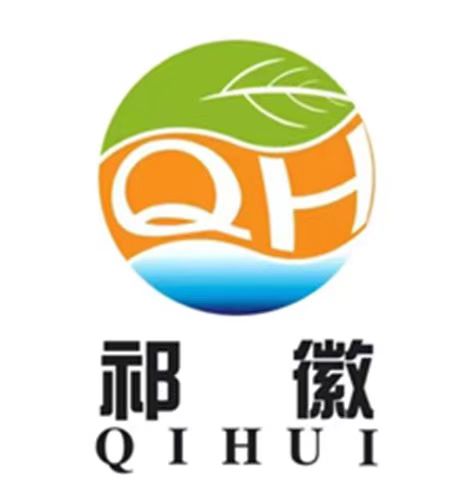Donghai County Qi Hui Lighting Electric Appliance Co., Ltd. logo