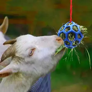Hot Selling Pet Supplies Hollow Ball Toy Feeder Natural Rubber Hanging Horse Hay Feed Ball Sheep And Goat Feeder Toy