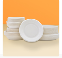 Lot de Plats Jetables Biodégradables Anti-fuite en Bagasse pour Plats à Emporter, Barquettes Déjeuner, Emballages à Emporter, Kits de Fournitures pour Fêtes - Vente en Gros