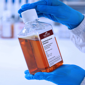 น้ำยาสำหรับเพาะเลี้ยงเซลล์แบบไม่มีไมโคพลาสมาและเอนโดท็อกซินน้อยกว่า 1% สำหรับเพาะเลี้ยงเซลล์ต้นกำเนิดจากน้ำเซรั่มทารกโค ได้รับการรับรองมาตรฐาน TEEC CHEE CE ผลิตในประเทศจีน - Product Image 1