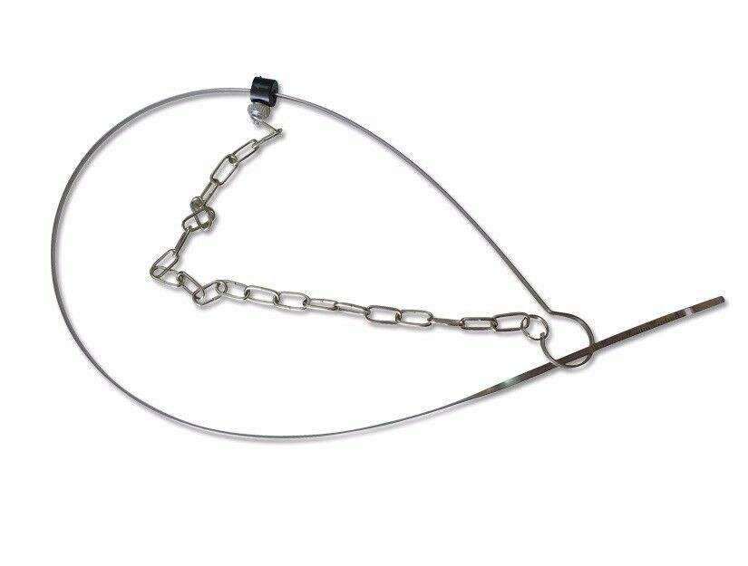 JAUGE D'HUILE MOTEUR De Voiture Remplacement T40178 Compatible 126241694520