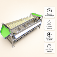 Nieuwe Farmer Duurzame Avocado Fruit Sorteermachine Precieze Fruit- en Groente Sorteermachine Automatische Diameter Sizer Kalibratie