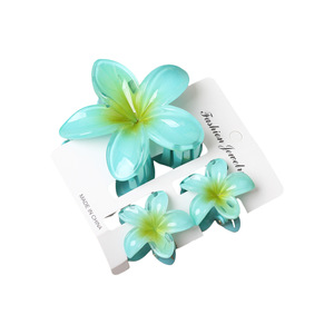 Élégantes Pinces à Cheveux Griffe pour <span class=keywords><strong>Amazon</strong></span> Exclusif, Adorables Épingles à Cheveux en Plastique Fleur Œuf avec Pinces Griffe Fleur de Bauhinia - Product Image 5