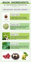 Thé Détoxifiant Naturel aux Herbes et au Thé Vert pour le Côlon, Moringa, Marque Privée, Thé Amincissant Ventre Plat