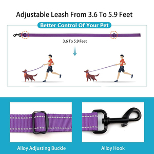 कारखाने थोक समायोज्य कुत्ते कॉलर पट्टा सेट प्रतिबिंबित नायलॉन छोटे मध्यम और बड़े पालतू जानवरों के लिए सुरक्षा लॉक बकल - Product Image 4