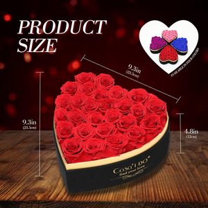 Rose Conservate Casaido 27 Pezzi in Scatola a Cuore con Collana Rosa Eterna <span class=keywords><strong>Regalo</strong></span> per Anniversario Compleanno Donna <span class=keywords><strong>Fidanzata</strong></span> San Valentino <span class=keywords><strong>Natale</strong></span> - Product Image 5