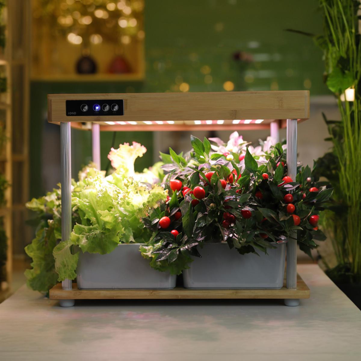 IGS-06 Bamboo Indoor Garden Hydroponics System with 1 Layer LED Grow Light  Smart Electronic Planter Pot for Home Kitchen Growing| Alibaba.com