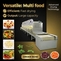 Machine de séchage au micro-ondes de type industriel pour fruits, légumes, fleurs, herbes, épices, équipement de déshydratation et de stérilisation
