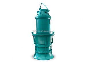 Submersible Axial-Flow Pump 22kw Hw Large Flow Horizontal Agricultural Centrifugal Water Pump for Mud - Product Image 2