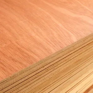 5/8 plywood red oak plywood manufacturer commerical structural plywood