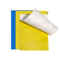 Planche adhésive double face pour insectes, planche appâtante bleue, planche de lutte antiparasitaire pour arbres fruitiers horticoles