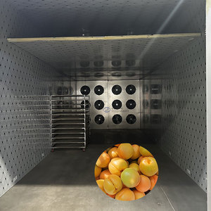 Machine de séchage de fruits personnalisable à source de chaleur, pour pruneaux et abricots - Product Image 1