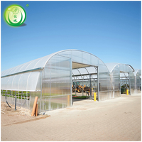 Serre en feuille de polycarbonate en gros avec système de chauffage d'ombrage d'irrigation par ventilation accepter la personnalisation