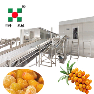 Voedselveilige IQF snelvriezer - apparatuur voor het invriezen van bonen/okra/aardbeien/blauwe bessen/mango in blokjes - Product Image 3