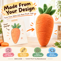 Peluche personnalisée pour la remise des diplômes, jouet en peluche sur mesure, cadeau de remise des diplômes, fabricant OEM ODM