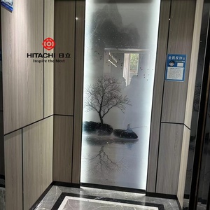 Ascenseur domestique moderne de haute qualité Hitachi pour maison, économie d'énergie, installation facile, ascenseur domestique - Product Image 5
