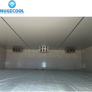 Hugecool OEM Đi Bộ Trong Phòng Lạnh Lạnh Lưu Trữ Tủ Đông Cho Cá Thịt Gà Và Hải Sản Lưu Trữ Với Cửa Trượt - Product Image 4