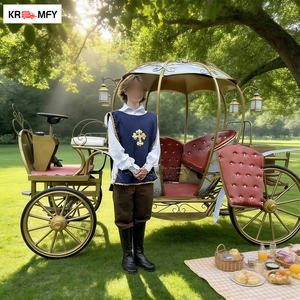 Calèche royale électrique de luxe classique en fer forgé de style européen, 150-250 CV, couleur personnalisable pour mariage - Product Image 4