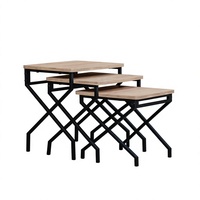 Ensemble de tables basses gigognes industrielles modernes, plateau en bois durable, structure métallique, facile à nettoyer, meubles de salon