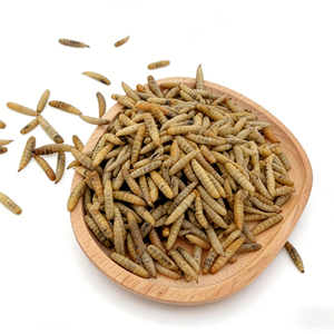 Larvas Secas de Mosca Soldado Negra con Alto Contenido de Proteínas, Directo de Fábrica, para Alimentación de Aves de Corral y Pollos - Product Image 3