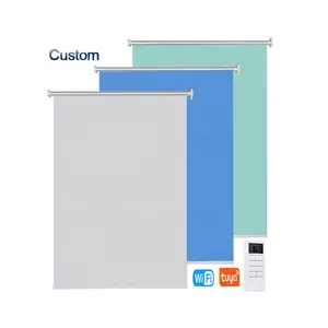 Fast Selling Blackout Roller Blind Latest Smart WiFi Tuya Alexa Remote Control Motorized Tubular Motor Electric Roller Blinds