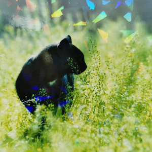 Hoja <span class=keywords><strong>de</strong></span> <span class=keywords><strong>película</strong></span> <span class=keywords><strong>de</strong></span> laminación en frío para foto <span class=keywords><strong>de</strong></span> publicidad exterior Interior holográfica <span class=keywords><strong>de</strong></span> vidrio roto con papel <span class=keywords><strong>de</strong></span> liberación - Product Image 3