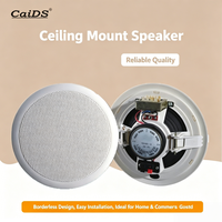 Haut-parleur de plafond de haute qualité au design moderne, compatible avec l'amplificateur de musique de fond, monté au plafond